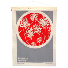Load image into Gallery viewer, Organic Devolution Common Kelp Ecklonia radiata Organic Cotton Tea Towel Art hanging