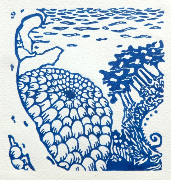 "Swimming anemone and kelp" - linocut print